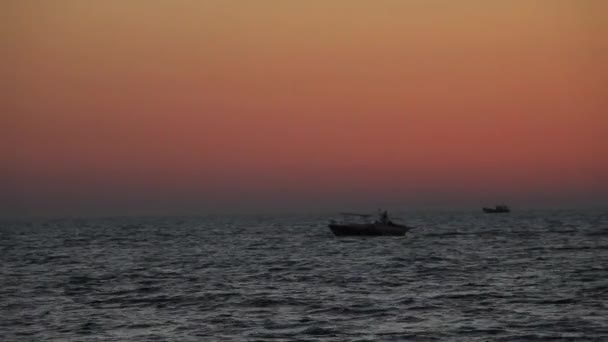 Fishing in the sea India — Stock Video