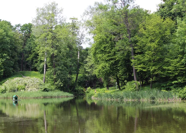 Kuğular üzerinde gölet için küçük ev 