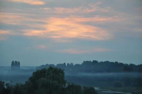 Nehrin üzerinde sis