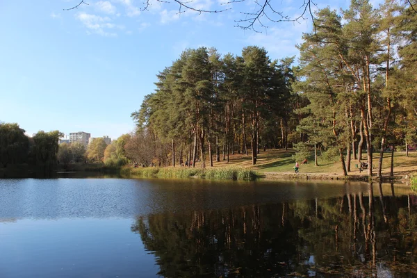Şehir park su birikintisi
