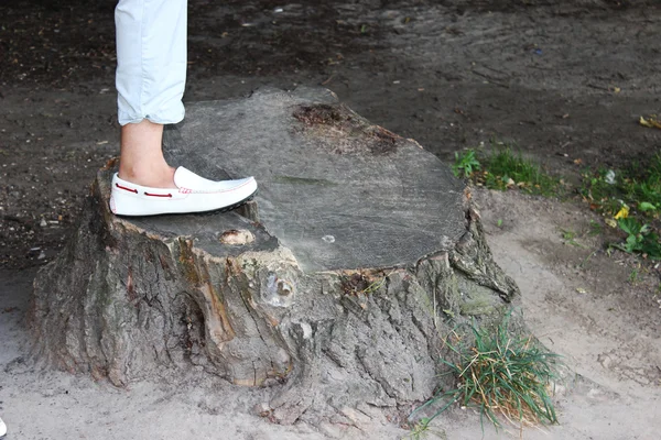 Bir güdük yürüyerek 