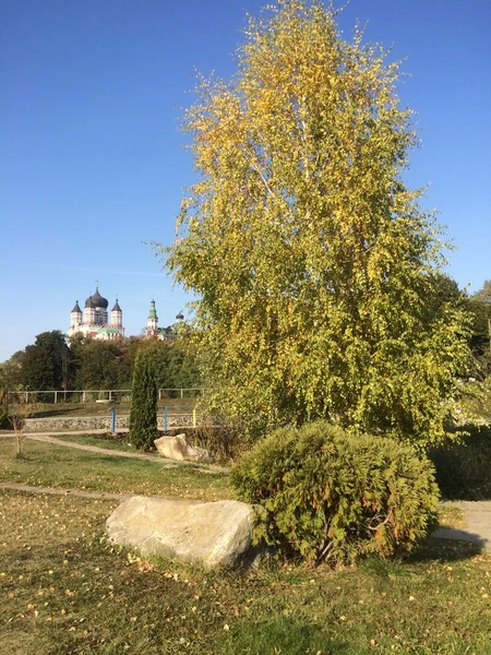 bir ağacın altında taş 