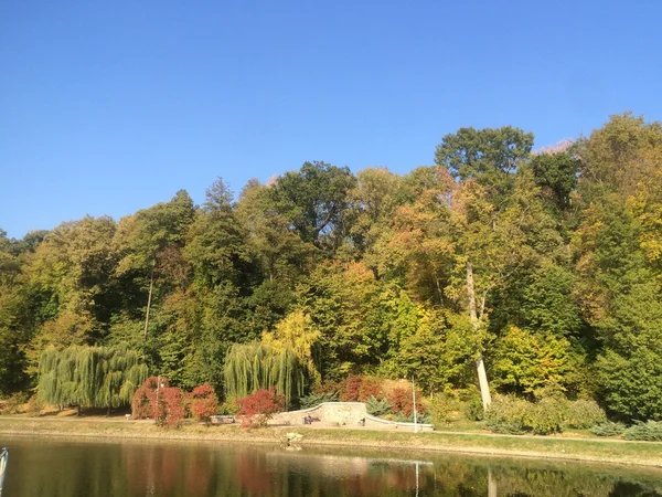 Gölün yakınında ağaçlar