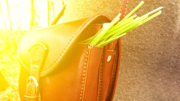 Bag with herbs in the sun — Stock Photo, Image