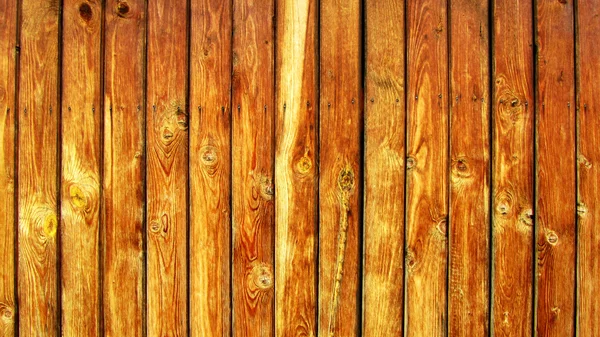 Struttura del legno — Foto Stock