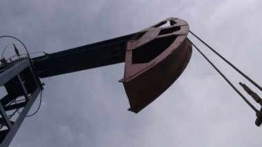 Başını sallayarak yağ eşek