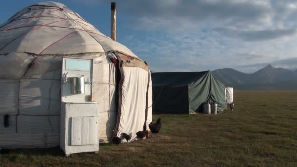 Traditional Kyrgyz yurts — Stock Video