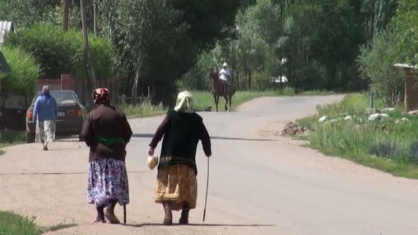 Dvě dámy procházejí vesnicí — Stock video
