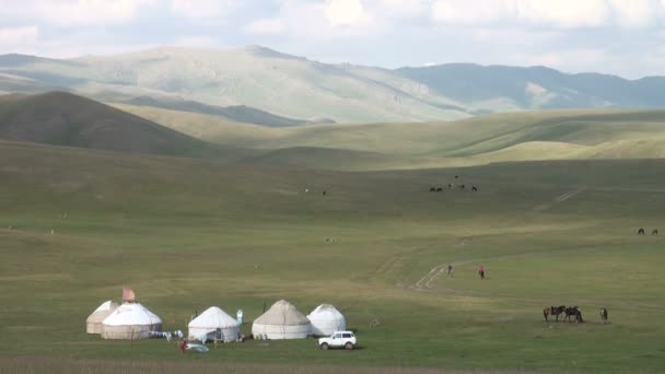 Un campamento de yurtas de verano — Vídeos de Stock