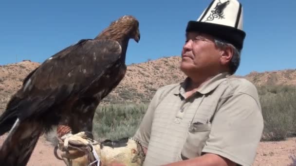 Adlerjäger blickt auf seinen geschulten Adler — Stockvideo
