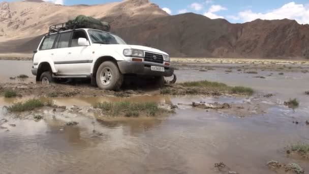 Jeep infilato in una palude — Video Stock