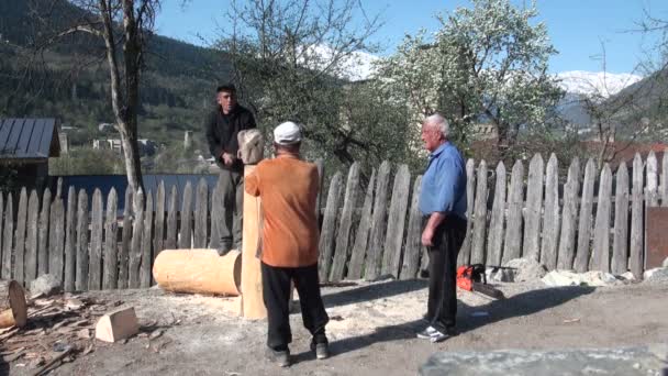 Werknemers zijn hakken brandhout — Stockvideo