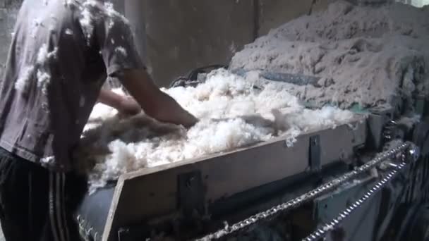 Man som arbetar i en bomull fabrik — Stockvideo