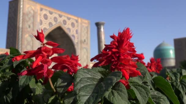 Flores frente al edificio Registan — Vídeo de stock