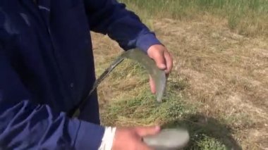 Çiftçi bir Orak gösterir