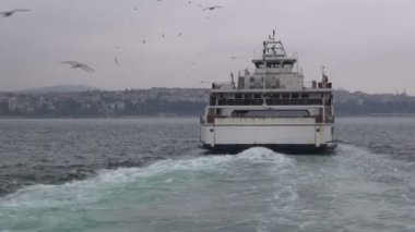 Boğaz'da feribotun arkasında yelken.