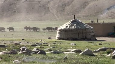 Bir yurt kamp ile yürüyüş yaks