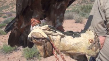 pençe ve altın kartal ayaklar