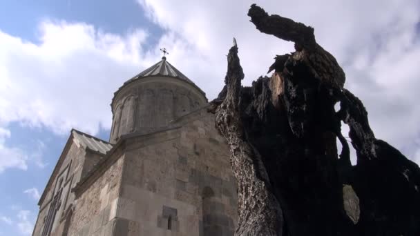 Monasterio armenio y árbol quemado — Vídeo de stock