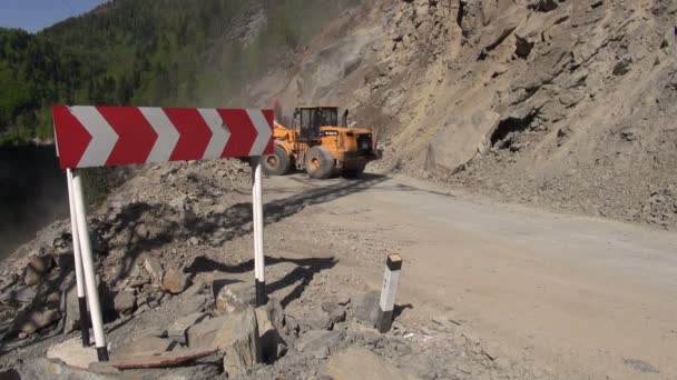 An excavators clear rocks, trees — Stock Video