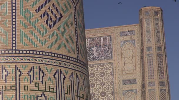 Le rondini volano intorno alla moschea — Video Stock