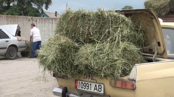 Mensen laden auto's met hooi stapels — Stockvideo