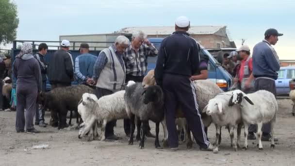 Einheimische Schafhändler warten auf Kunden — Stockvideo