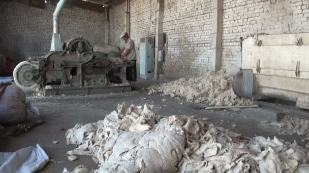 Man operates a cotton cleaning machine — Stock Video