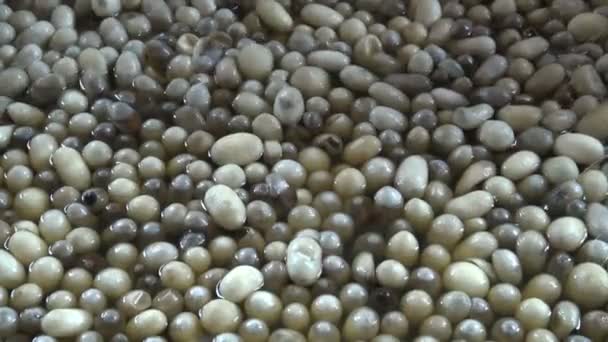 Silk cocoons being boiled in bowl — Stock Video