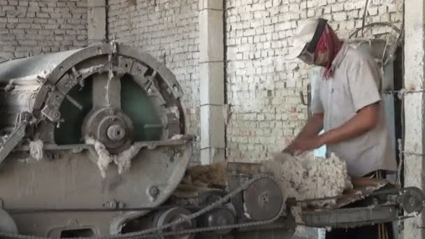 Άνθρωπος λειτουργεί μια μηχανή καθαρισμού βαμβακιού — Αρχείο Βίντεο