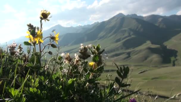 Vackert bergslandskap — Stockvideo