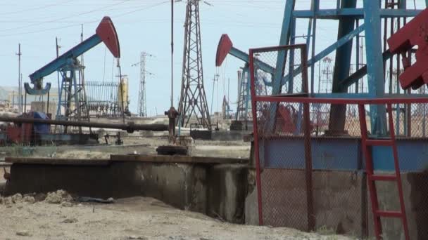 Oil donkeys are extracting oil — Stock Video