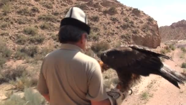 Eagle hunter brengt opgeleide eagle terug naar huis — Stockvideo