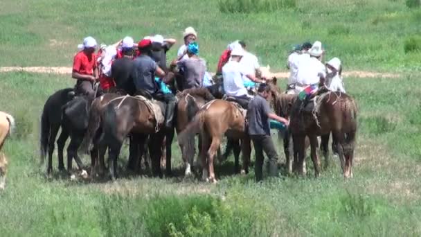 Hombres se preparan para juegos de caballos — Vídeo de stock