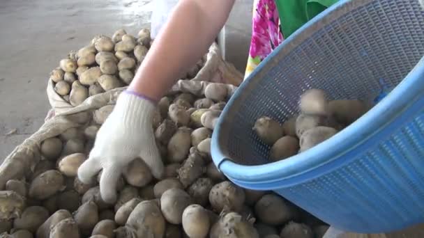 Säljer potatis på basaren — Stockvideo