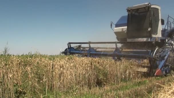 combiner les coupes récolteuses blé 