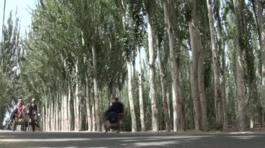 Eşek arabası taşımacılığı