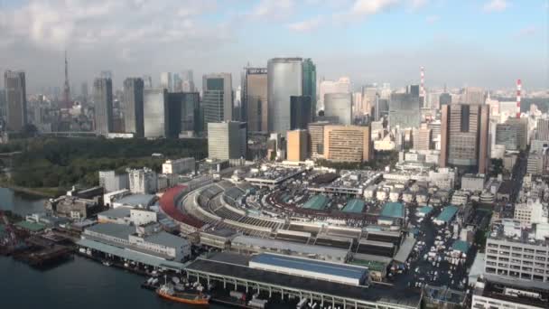 Panorâmica do mercado dos peixes de Tsukiji — Vídeo de Stock