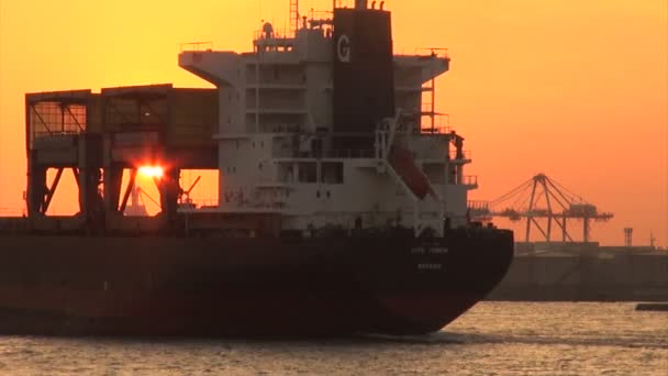Buque de carga en el puerto de Osaka — Vídeo de stock