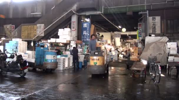 Přehled o rybím trhu Tsukiji v Tokiu — Stock video