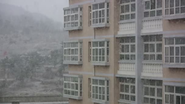 Nieve cae en el campus de la universidad — Vídeos de Stock