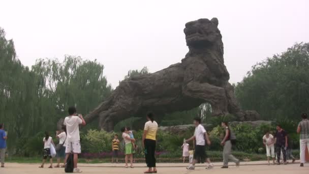 Tourists are taking pictures in Beijing zoo — Stock Video