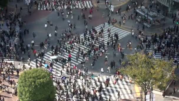 La gente cruza la calle — Vídeos de Stock