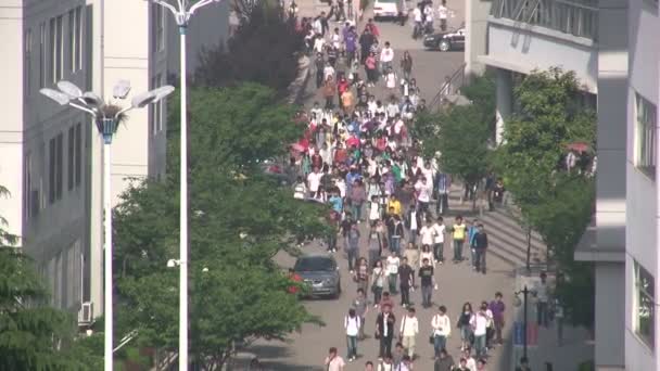 Studenten lopen naar Universiteit — Stockvideo