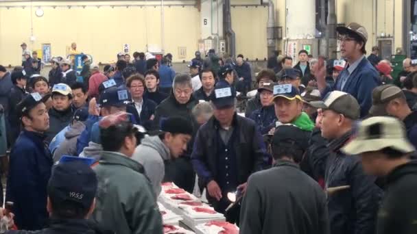 Tuna auction at the Tsukiji fish market — Stock Video