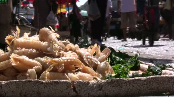 Les gens vendent des crevettes fraîches — Video