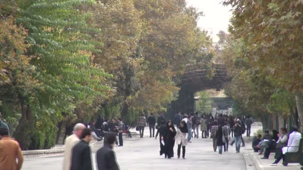 Les étudiants marchent à travers le campus de l'Université — Video