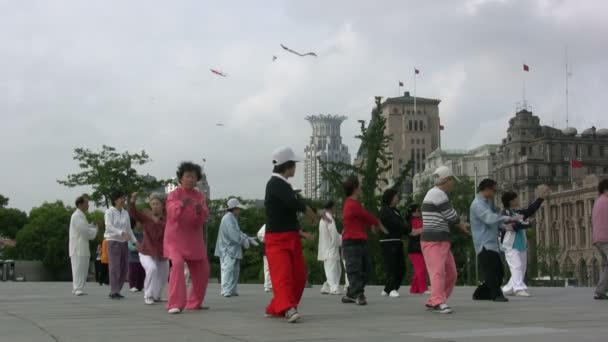 La gente practica tai chi — Vídeos de Stock