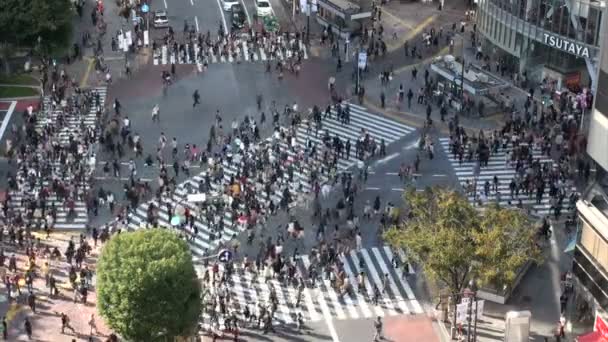 As pessoas atravessam a estrada — Vídeo de Stock