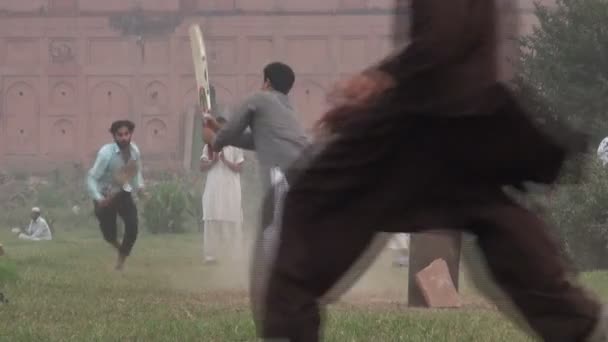 Young men play cricket — Stock Video
